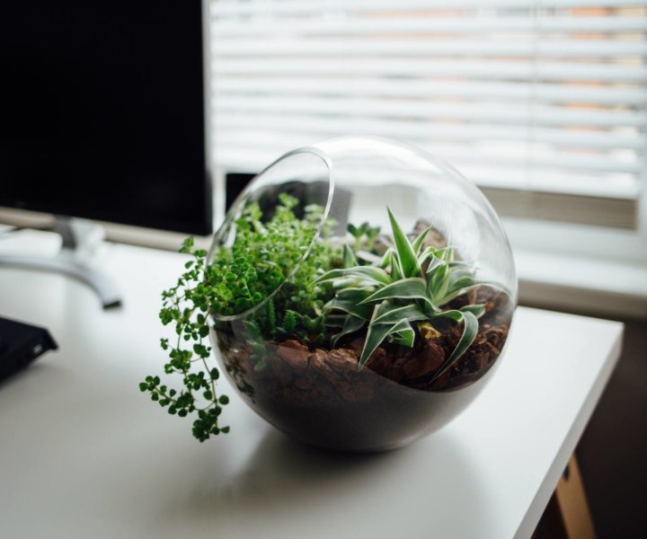 Ecological System in Office